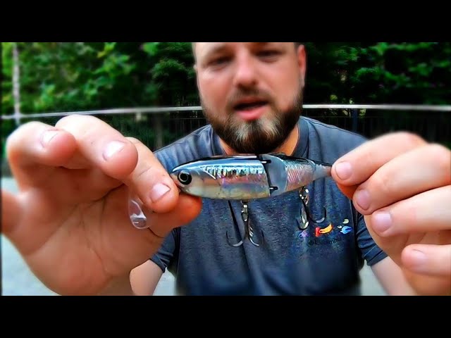 Is This Lure The Next Big Thing? or a Big Mistake? 