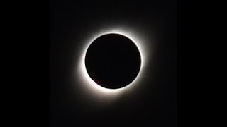 Celebrity 2019 Total Solar Eclipse, La Serena/El Chacay, Chile Net Worth