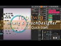 " Bitwig & TouchDesigner Integration " - TDbitwig Quick Start