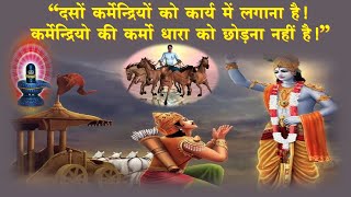 दसों कर्मेन्द्रियों को कार्य में लगाना हैI कर्मेन्द्रियो की कर्मो धारा को छोड़ना नहीं हैII Vcd 2289.