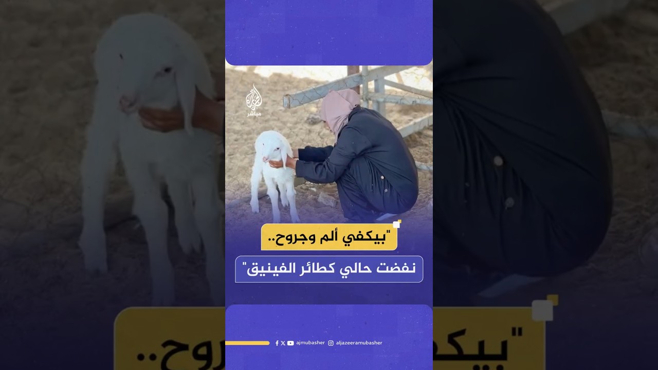 "بيكفي ألم وجروح.. نفضت حالي كطائر الفينيق"