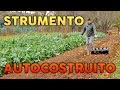 COLTIVARE l'AGLIO in POCO spazio | 3000 teste in 50mÂ²