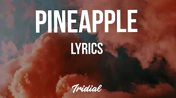 Ty Dolla $ign - Pineapple (Lyrics) (feat. Gucci Mane & Quavo)