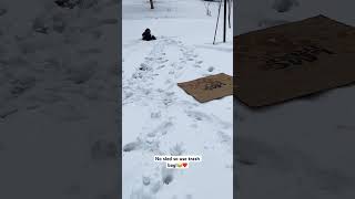 No sled,use trash bag!