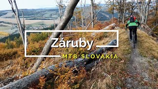 Na bicykli po Slovensku - traily pod Zárubami [4K]