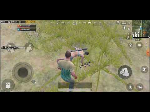 პაბჯიში რეები ჩავატარე?