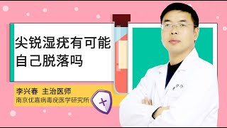 尖锐湿疣有可能自己脱落吗