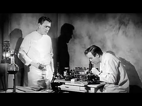 The Killer Shrews (1959) Horror, Sci-Fi Creature Feature Cult Film