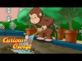 Curious George 🌱 Gardening with George 🌱 Kids Cartoon 🐵 Kids Movies 🐵 Videos for Kids