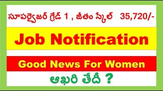 Extension Officer Supervisor Grade1 notification@rkfocus9999 ,#tsjobs#tspsc #telanganajobs #anganwadi screenshot 1