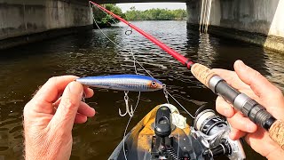 New Fishing Lure Proved Itself - Crushing Topwater Hits!