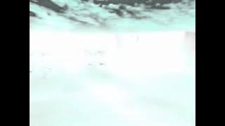 A Mild Menthol - Iglo Bear