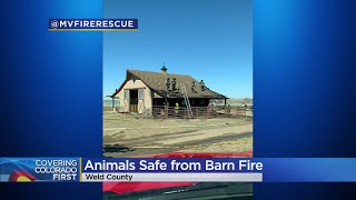 1 Person Injured, All Animals Rescued From Burning Barn In Weld County