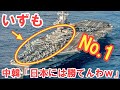 【海外の反応】衝撃！空母「いずも」日本海軍の最強伝説がヤバ過ぎる！！ 海上自衛隊『5隻の空母建造計画』とは？ 世界中もビビる最新仕様に驚愕ｗｗｗ