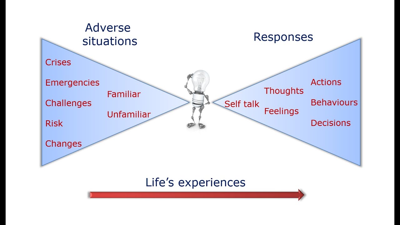 The Definition of Resilience