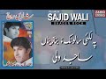 Balochi Songs Palalai Salonka Benazena Sajid Wali ساجد ولی Nazenk شادیں روچ Classic Song Balochi Songs Palalai Salonka Benazena Sajid Wali ساجد ولی Nazenk شادیں روچ Classic Song