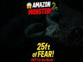 "This Giant Amazon Snake Will Haunt Your Dreams!" #shorts #shortsfeed #wildlife #scary