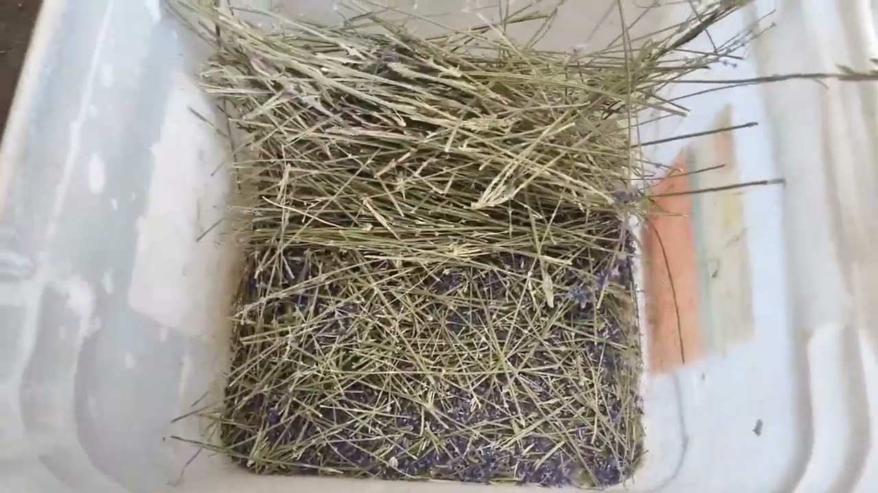 Lavender Debearder Test