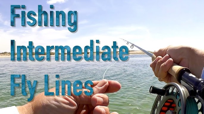 Ultimate Sinking Fly Line Comparison  Floating + Sink Tips, Intermediate & Fast  Sinking Line 