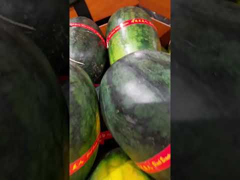 Black Beauty WaterMelon#watermelon#asmr#shortsvideo