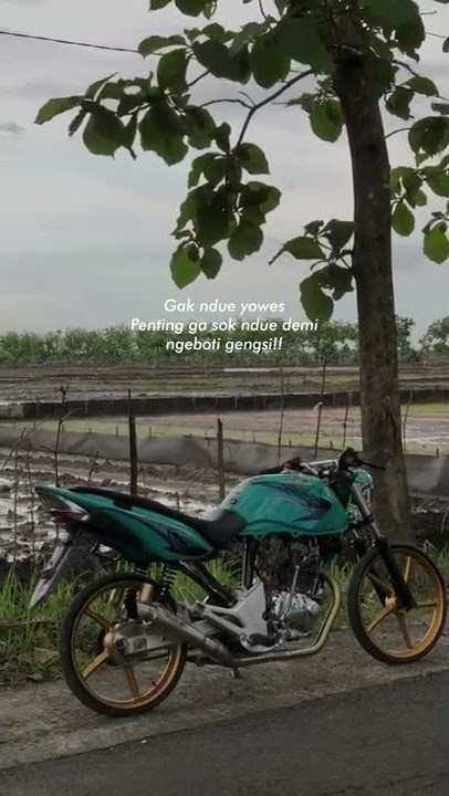 story'wa herex tiger revo 30 detik
