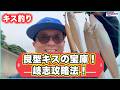 【キス釣り】良型キスの宝庫!糸島・岐志海岸のポイント攻略方法を伝授します!
