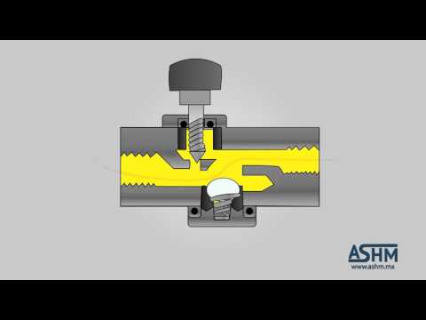 Video: ¿Cómo funciona la válvula de control de aire inactivo?