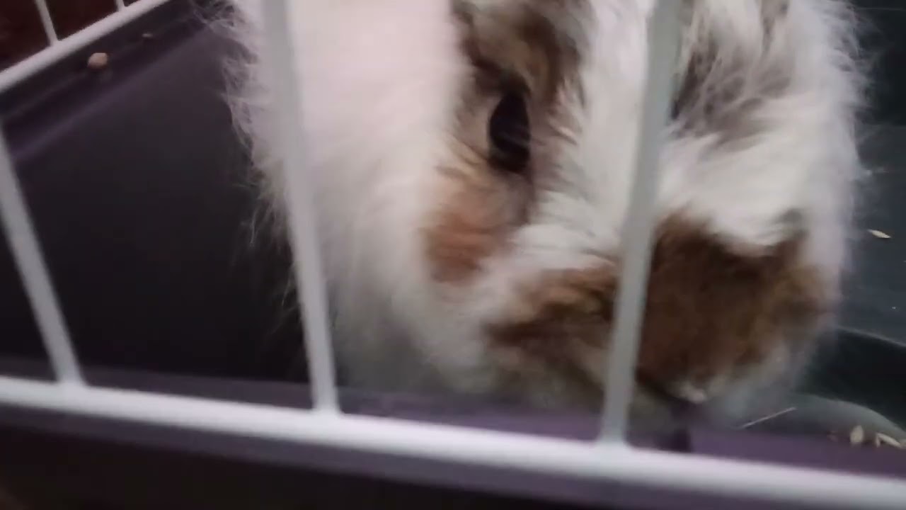 17 января 2026 г.