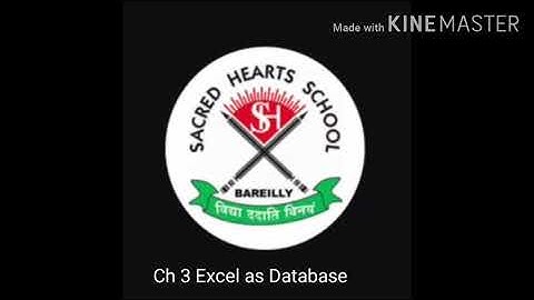 Class 7||ch4|| Excel as Database
