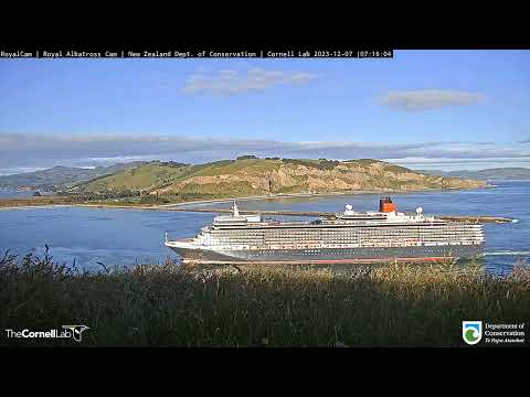 Видео: Пассажирское судно КОРОЛЕВА ЕЛИЗАВЕТА(Новая Зеландия) -Passenger Ship  QUEEN  ELIZABETH(New Zealand)