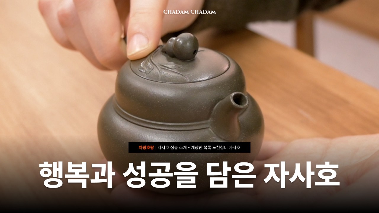 계창원 복록 노천청니 자사호 심층 리뷰 | 소장가치 200% 자사호 소개 📦