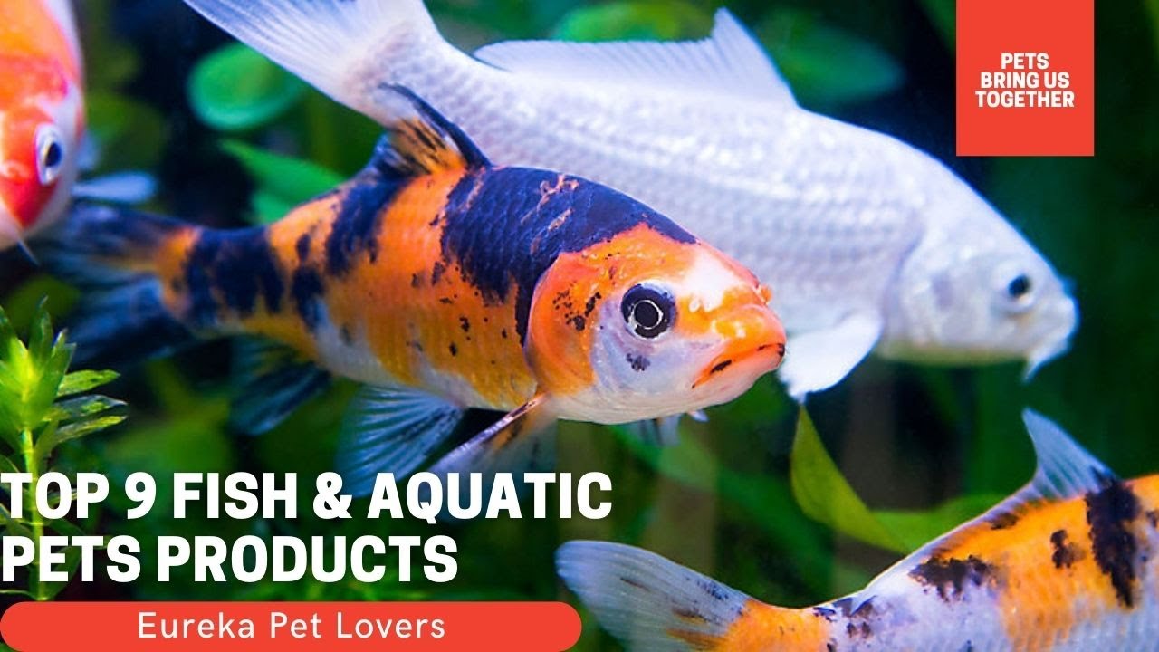 Top 9 Fish & Aquatic Pets Products | Amazon | Ali Express | Videos | Review