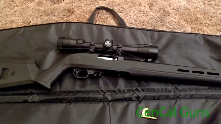 Ruger 10/22 with a Magpul Hunter X22 Review
