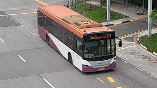 SBS8966L(HGDEP 64) On Service 103 At Yishun Avenue 2
