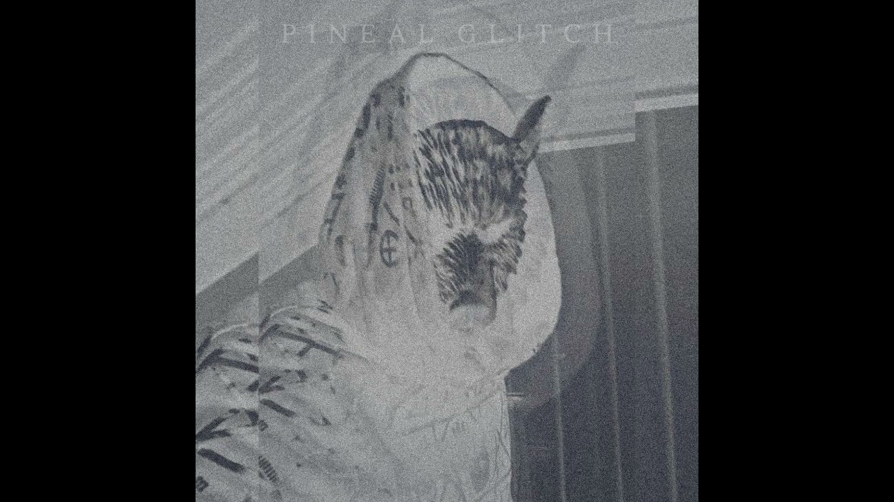 Pineal Glitch - The Abyss (IDM/Breakcore)