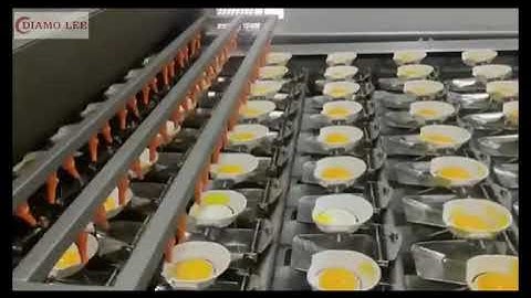 automatic industrial egg breaker separator machine factory price egg processing product line