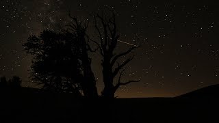 2017 Ursid Meteor Shower