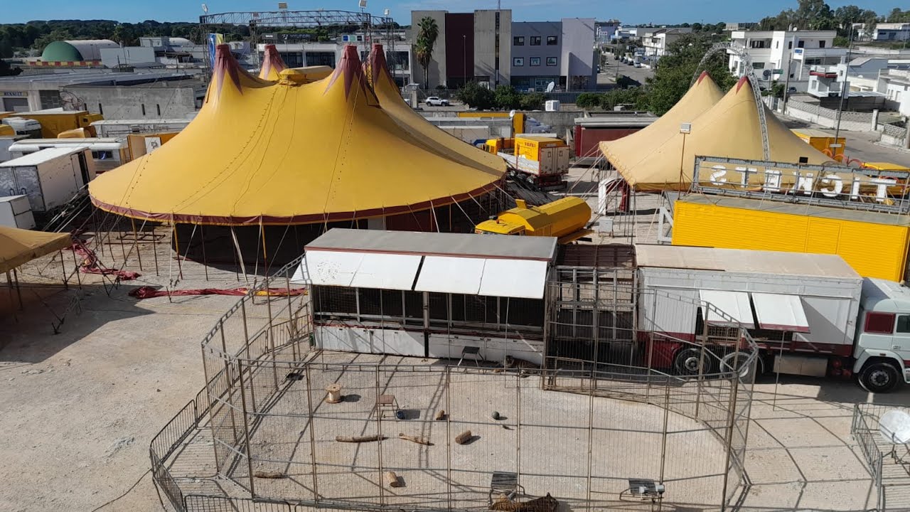 Circo Marina Orfei (Monti): Montaggio strutture e zoo a Maglie (LE)