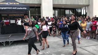 Alpha Kappa Alpha Uncp Meet The Greeks 2019