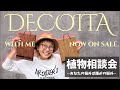 花森さんDECOITA板付け&植物相談会🪴