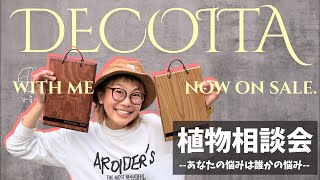 花森さんDECOITA板付け&植物相談会🪴