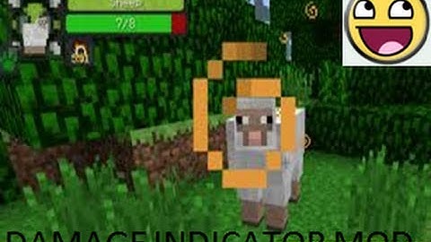 Hit splat damage indicator mod