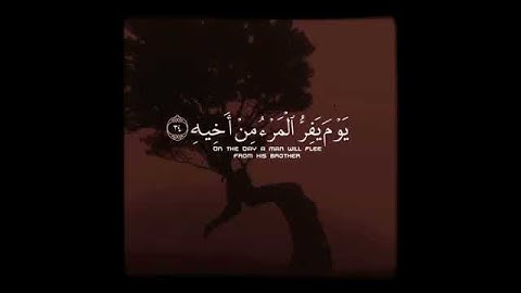 ( يوم يفر المرء من أخيه )تلاوه مؤثره للقارئ ياسر الدوسري