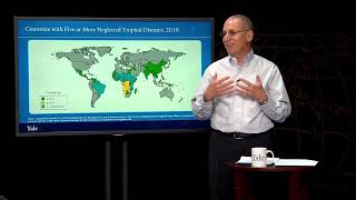 Neglected Tropical Diseases | Essentials of Global Health with Richard Skolnik by YaleCourses 695 views 10 months ago 13 minutes, 8 seconds