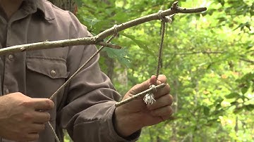 Survival Video: Set a Snare Trap