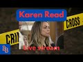 The karen read case did she do it or a coverup day 10