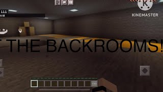 I joined a Backrooms Minecraft Server