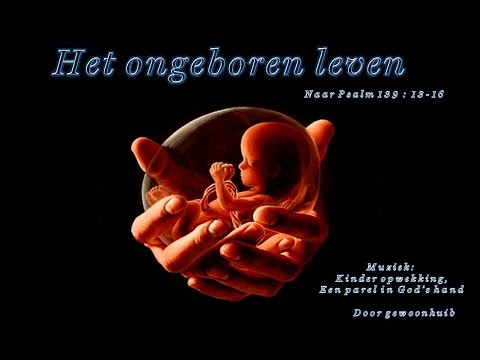 ongeboren leven ongeboren leven