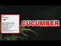 J Hus Cucumber Lyrics mp3