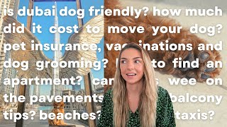 Q&A: life as a dog mum in dubai  how to relocate your dog, vet costs & finding an apartment